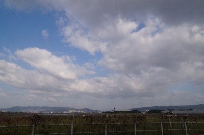 DSC00393.jpg