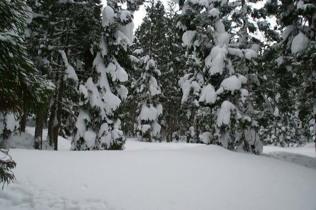 DSC00533.jpg