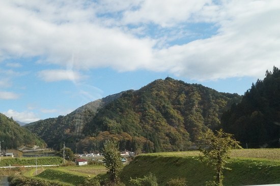 DSC00603.jpg