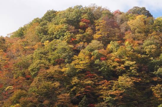 DSC00647.jpg