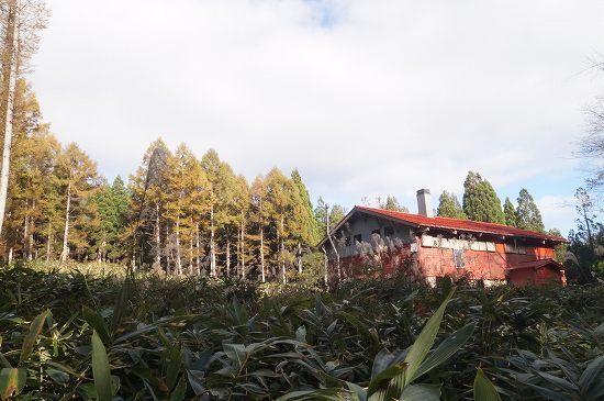 DSC00715.jpg