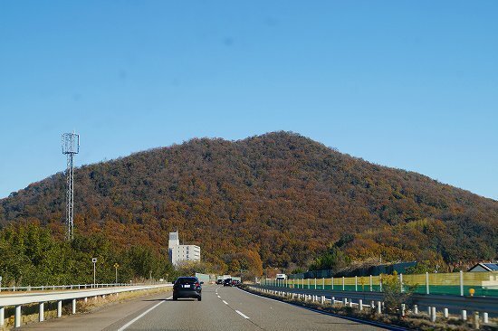 DSC01887.jpg