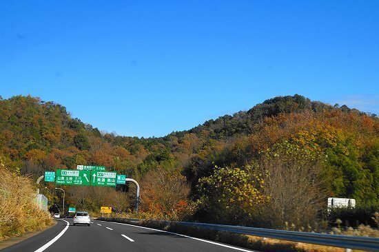 DSC01897.jpg