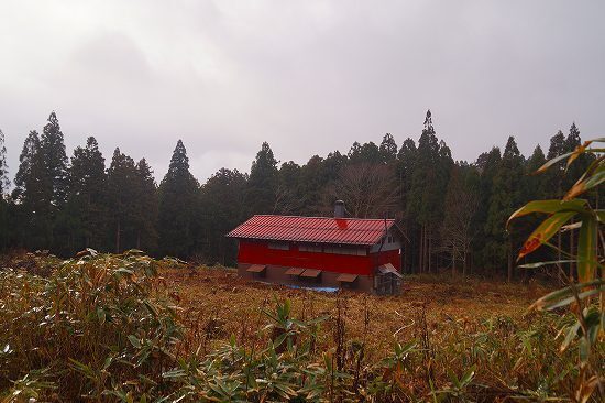 DSC02074.jpg