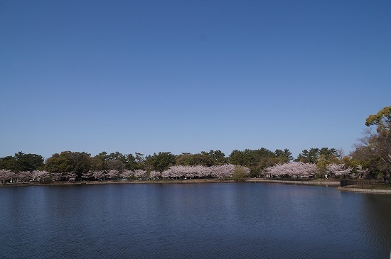 DSC02195.jpg
