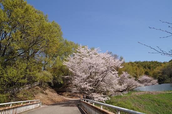 DSC02250.jpg