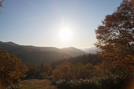 DSC03064.jpg