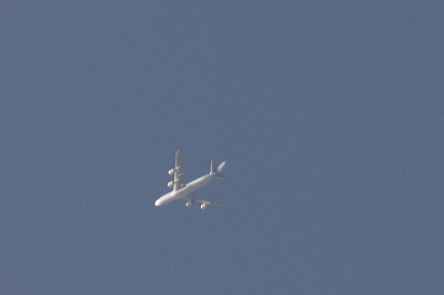 DSC03075.jpg