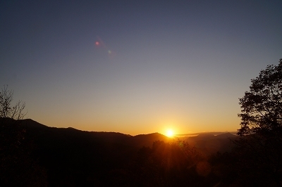DSC03113.jpg