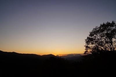 DSC03161.jpg