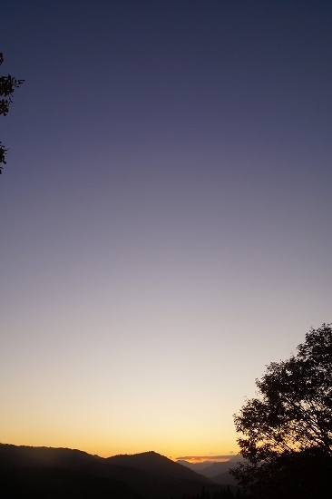DSC03166.jpg