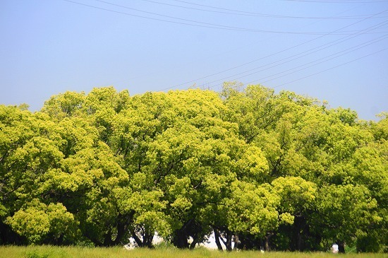 DSC04315.jpg
