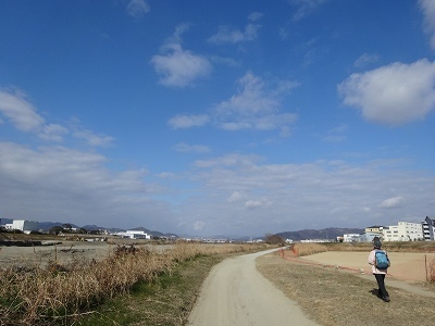 DSC04415.jpg
