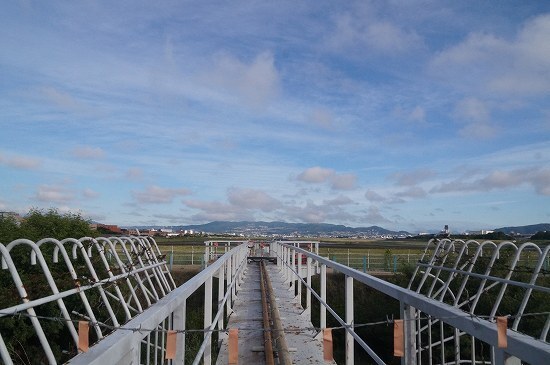 DSC05166.jpg