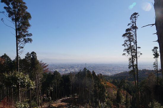 DSC05805.jpg