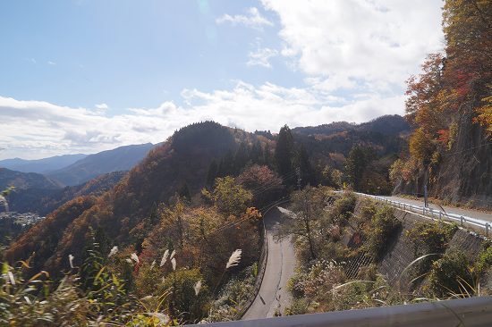 DSC06915.jpg