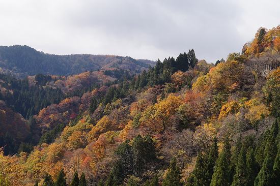 DSC06944.jpg