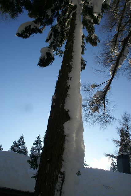 DSC08234.jpg