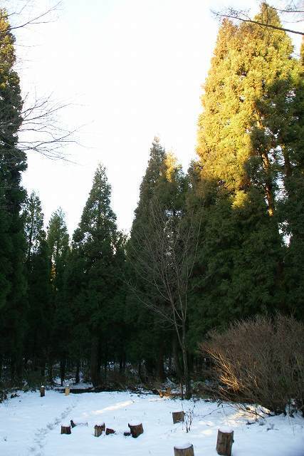 DSC08652.jpg