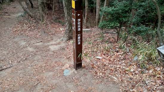 KIMG0360.jpg